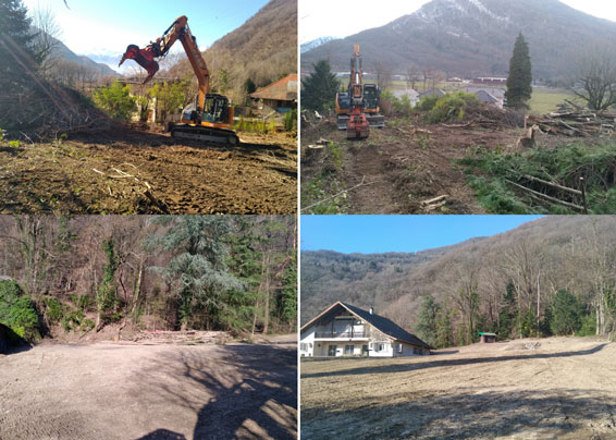 Travaux de dessouchage