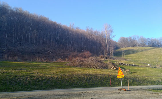 Terrain avant la construction d'une étable